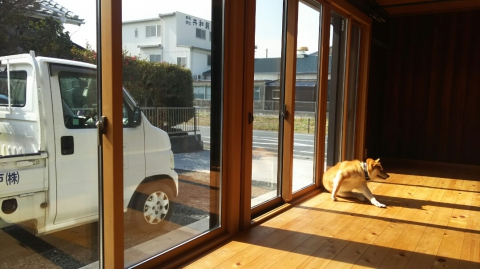 【浜松芳川店】犬さんも大喜び、窓リフォーム